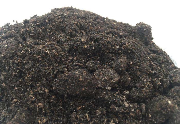 种植樱桃后,如何对果园进行施肥管理?做到这4点就不用愁了