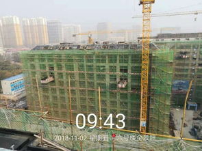 绿城 诚园最新工程播报 时间成就精品,匠心筑造品质