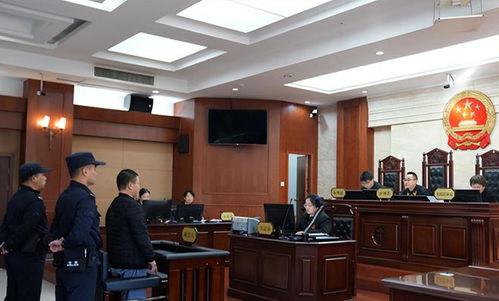 2024年广州宝马撞人案温庆运被注射死刑,行刑前浑身发抖崩溃大哭