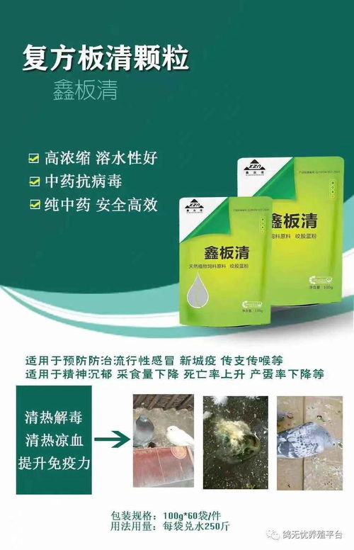 动真格了,冷冻食品频繁出事,最高处死刑