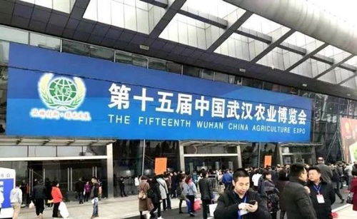 要火 省里公开表扬,随州香菇又获 金名片