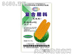 玉米底施肥28 9 9 双联