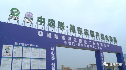 晴天好施工 中农联 湘东农副产品大市场项目全力推进
