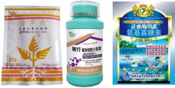 芒果12月管理注意事项