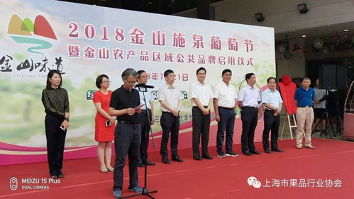 第六届施泉葡萄节暨 金山农产品区域公共品牌启动仪式 在普陀区中环百联购物中心拉开帷幕,上海市果品行业协会负责人出席