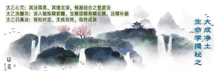 王弼注《道德经》二十九