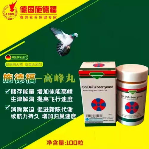 高峰丸 冠王鸽业