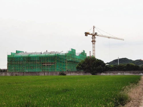安全质量常抓不懈 农发公司召开大米加工厂施工安全质量会议