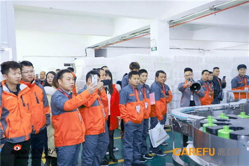 桐乡上演巅峰对决 嘉师傅之星 墙面施工大赛总决赛冠军揭晓
