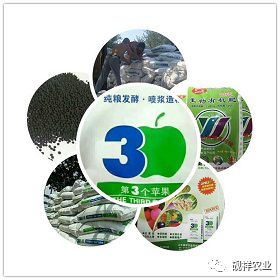 茄子的栽培管理与病虫害防治