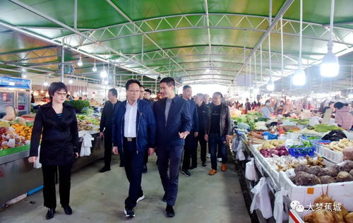 区领导深入中心城区开展工作调研