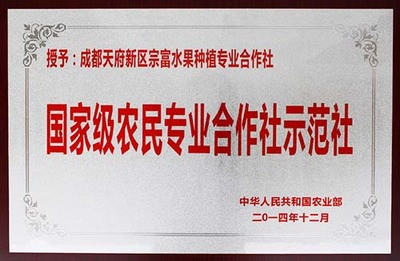 找广西李子苗_广西李子树苗_广西李子苗基地_广西李子苗批发_广西李子苗价格的广西李子苗基地价格、图片、详情,上一比多_一比多产品库