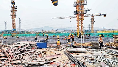 大湾区“超级菜篮子”全面复工,预计年底建成投用